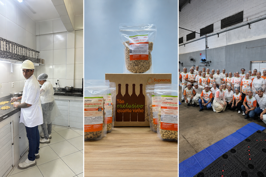 Castanha de Caju no Atacado: Guia Completo de Calibres, Preços e Como Comprar para Revenda