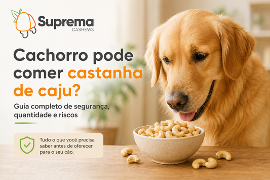 Cachorro pode comer castanha de caju?