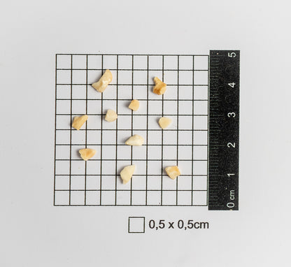Granulada Média Torrada (Caixa com 5 unid. de 500g cada)
